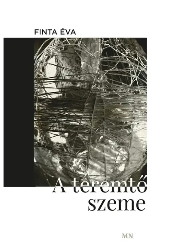 Finta Éva - A teremtő szeme