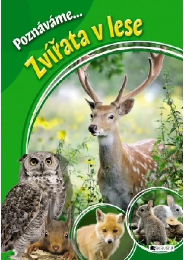 autora nemá - Poznáváme... Zvířata v lese