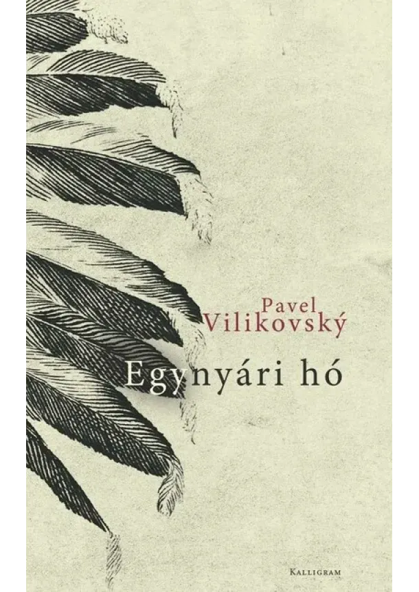 Pavel Vilikovský - Egynyári hó