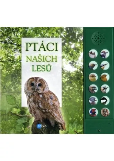 Ptáci našich lesů