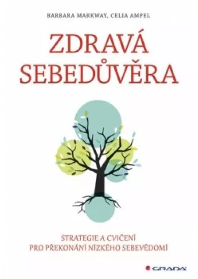 Zdravá sebedůvěra - Strategie a cvičení