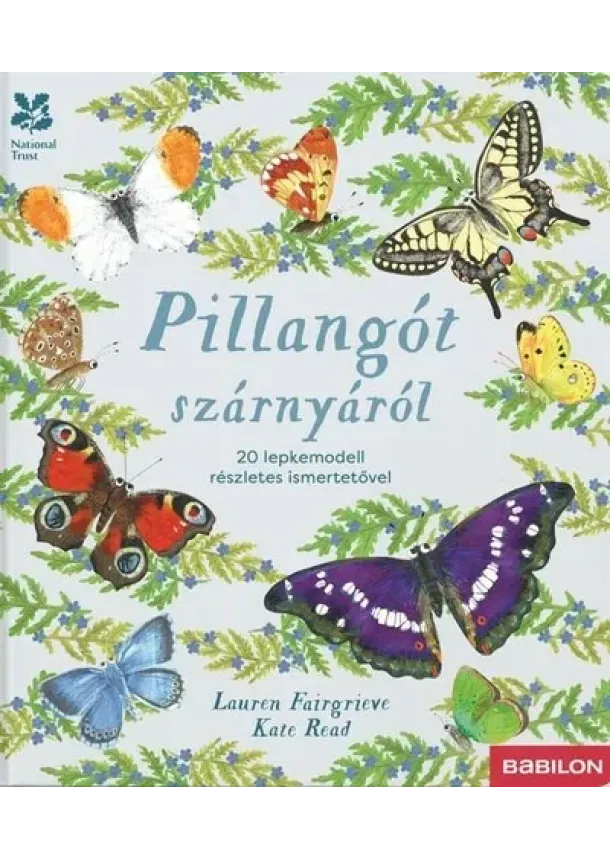 Lauren Fairgrieve - Pillangót szárnyáról - 20 lepkemodell részletes ismertetővel