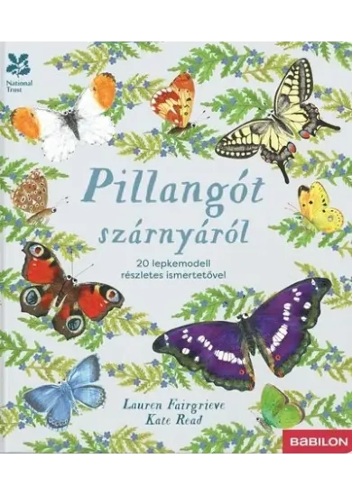Pillangót szárnyáról - 20 lepkemodell részletes ismertetővel