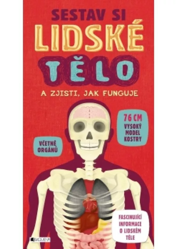 autora nemá - Sestav si lidské tělo