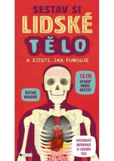 Sestav si lidské tělo