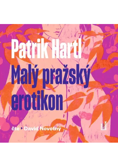 Malý pražský erotikon - CDmp3 (Čte David Novotný)