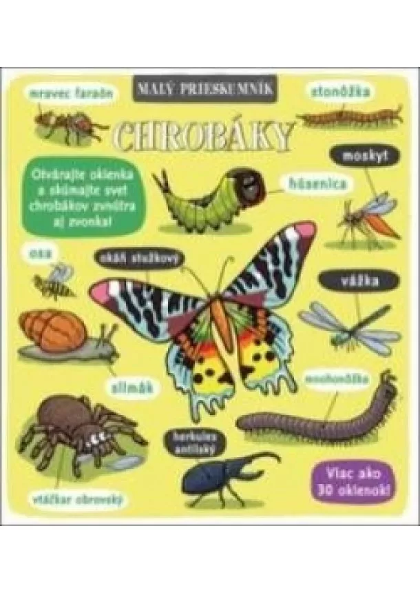 autor neuvedený - Malý prieskumník – Chrobáky