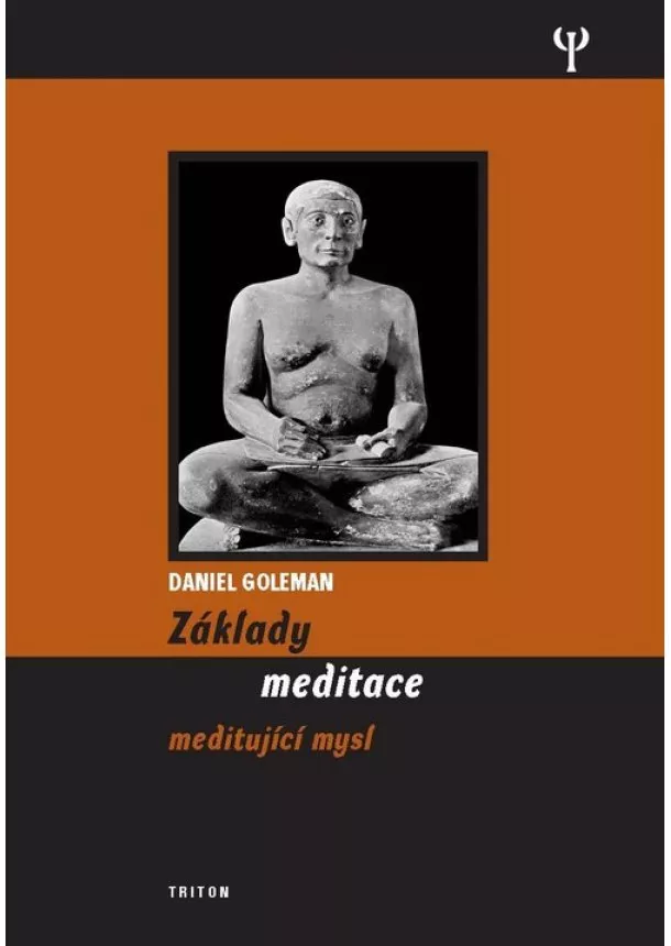 Daniel Goleman  - Základy meditace