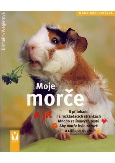 Moje morče a já