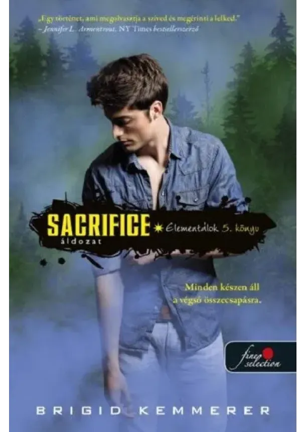 Brigid Kemmerer - Sacrifice - Áldozat - Elementálok 5.
