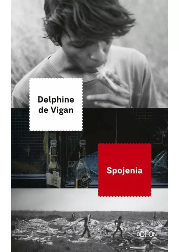 Delphine de Vigan - Spojenia