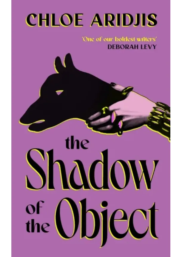 Chloe Aridjis - The Shadow of the Object