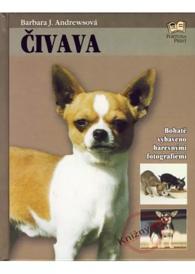 Čivava