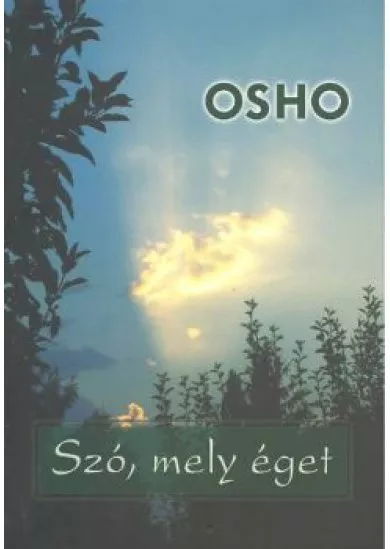 SZÓ, MELY ÉGET
