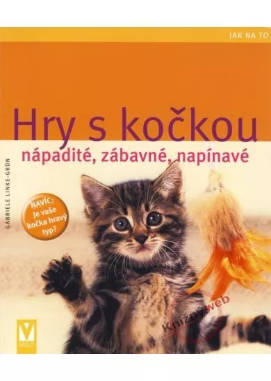 Hry s kočkou - nápadité, zábavné, napínavé - Jak na to