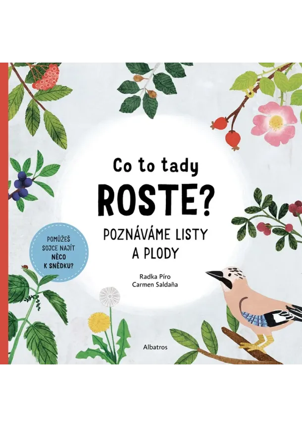 Radka Píro - Co to tady roste?