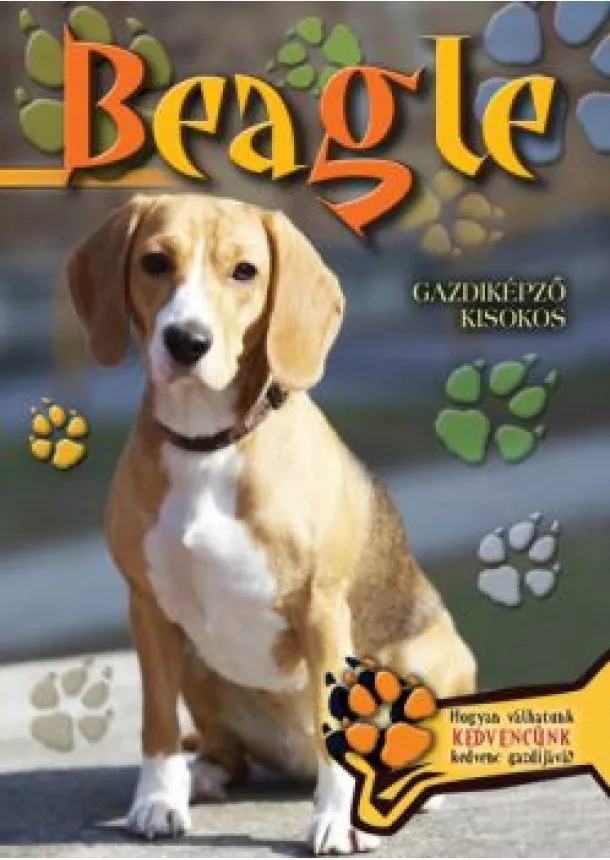 Válogatás - Beagle - Gazdiképző kisokos /Állattartók kézikönyve