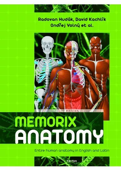 Memorix Anatomy