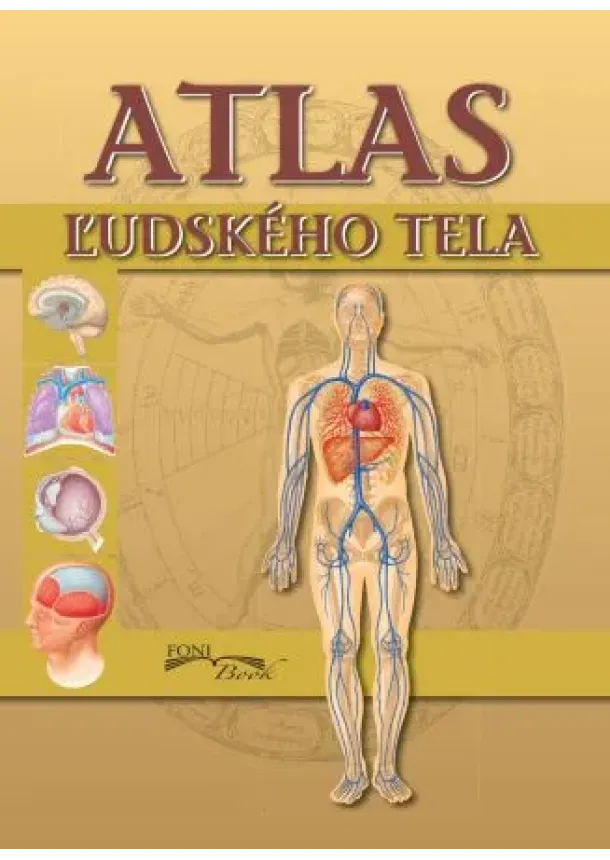 kol - Atlas ľudského tela