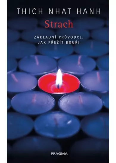 Strach. Základní průvodce, jak přežít bo