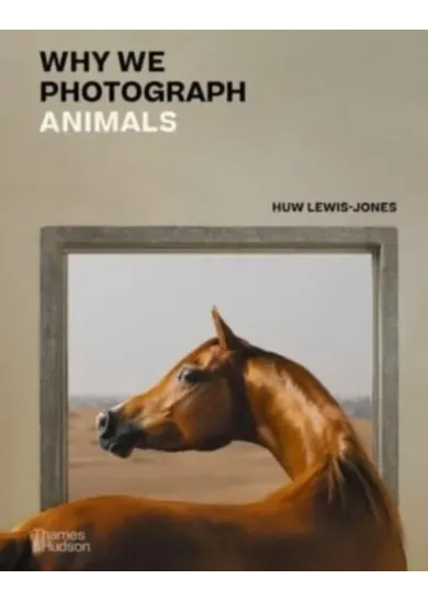 Why We Photograph Animals