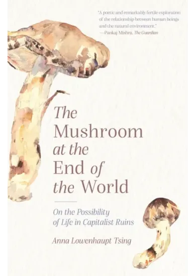 Mushroom at the End of the World