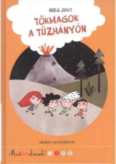 TÖKMAGOK A TŰZHÁNYÓN /MOST ÉN OLVASOK! 2.