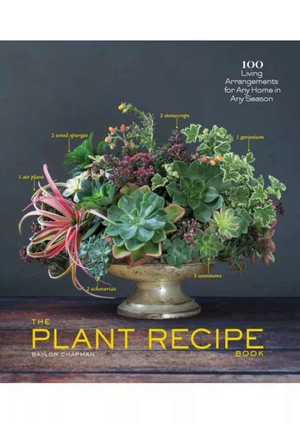 Baylor Chapman - Tabletop Plant Recipe Book