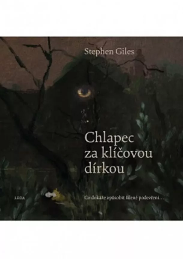 Stephen Giles - Chlapec za klíčovou dírkou - Co dokáže z