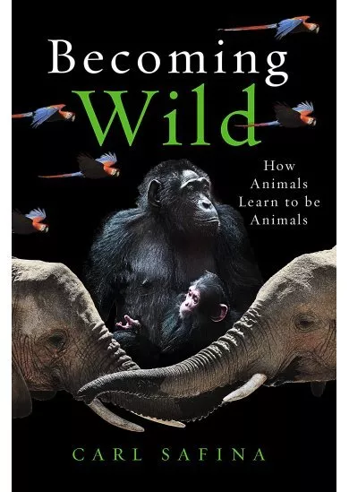 Becoming Wild