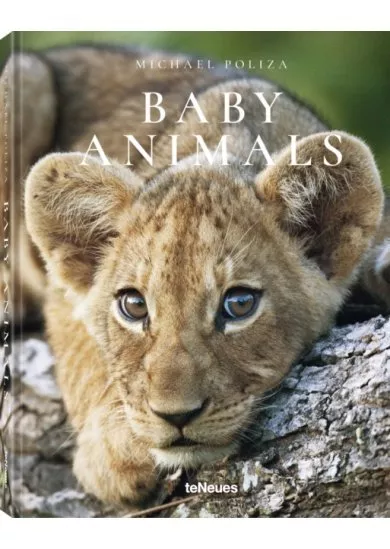 Michael Poliza, Baby Animals