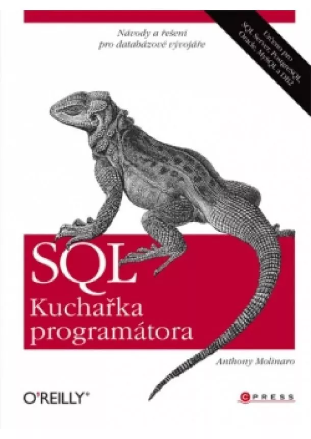 Anthony Molinaro - SQL