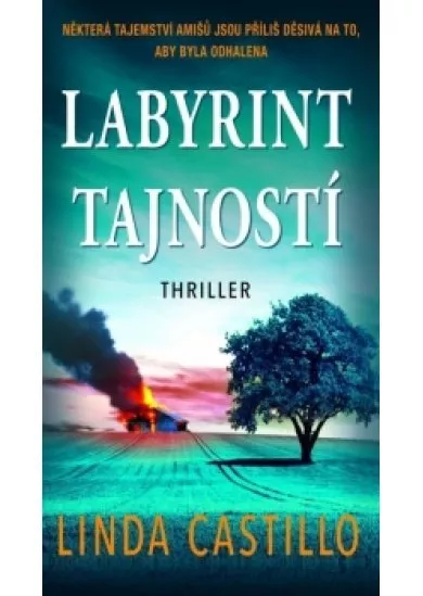 Labyrint tajností