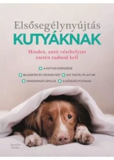 Elsősegélynyújtás kutyáknak