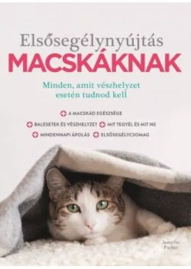 Elsősegélynyújtás macskáknak