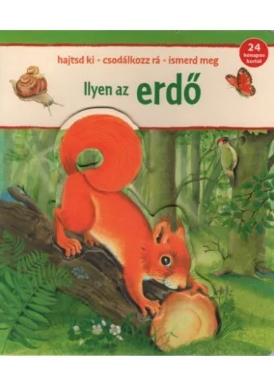 Ilyen az erdő - Hajsd ki - Csodálkozz rá - Ismerd meg