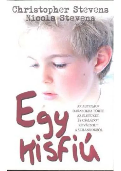 EGY KISFIÚ