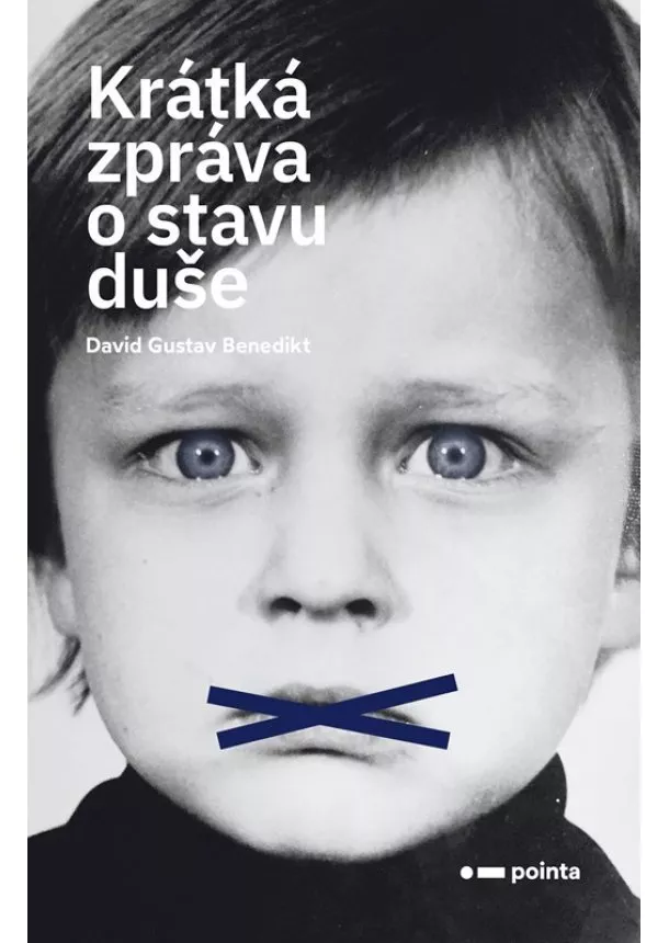 David Gustav Benedikt - Krátká zpráva o stavu duše