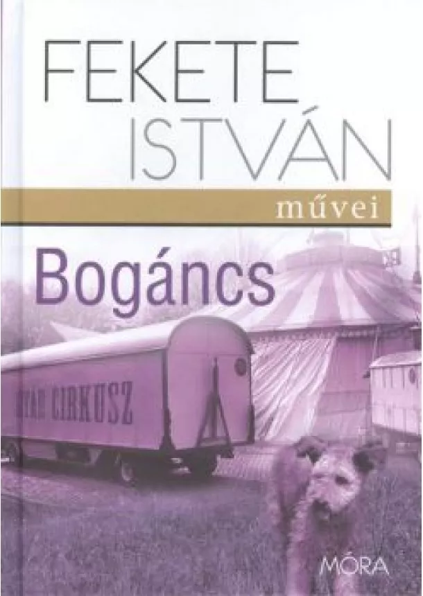 FEKETE ISTVÁN - BOGÁNCS (10. KIADÁS)