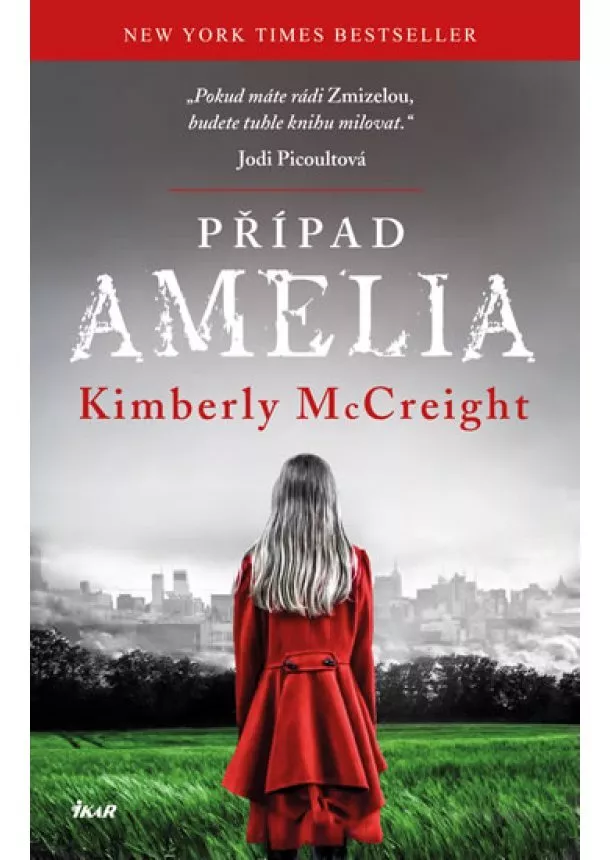 Kimberly McCreight - Případ Amelia