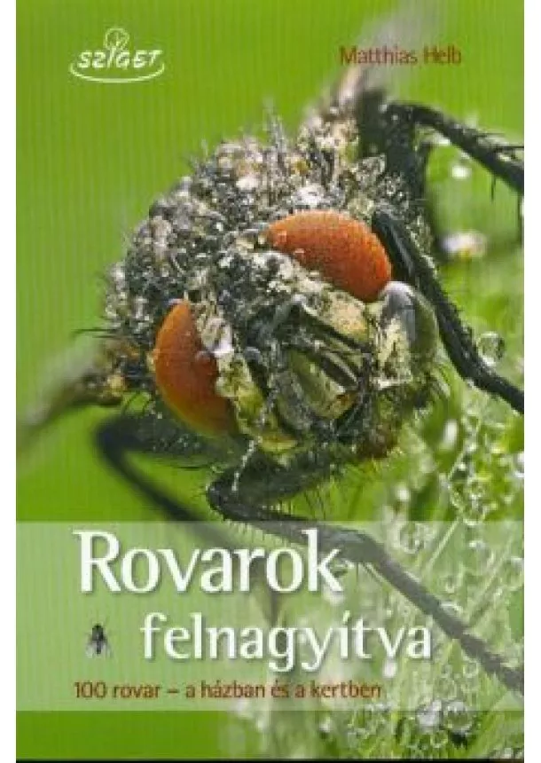 Matthias Helb - Rovarok felnagyítva /100 rovar - A házban és a kertben
