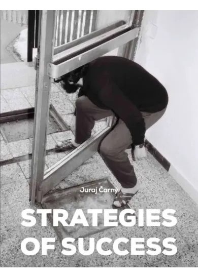 Strategies of Success/Stratégie úspechu - Slovenské umenie v zbierkach zahraničných múzeí