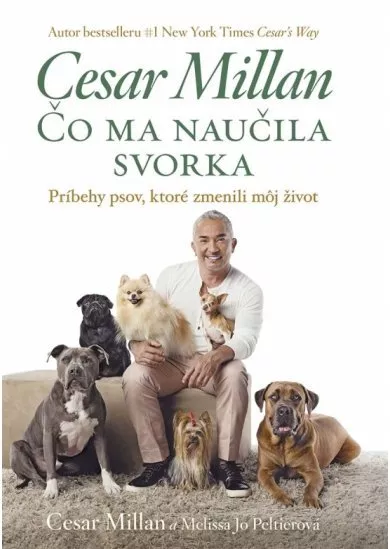 Čo ma naučila svorka