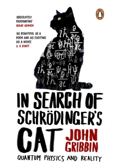 In Search Of Schrodinger's Cat
