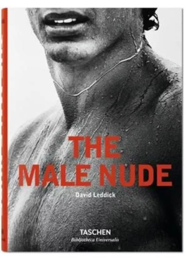 David Leddick - Male Nude