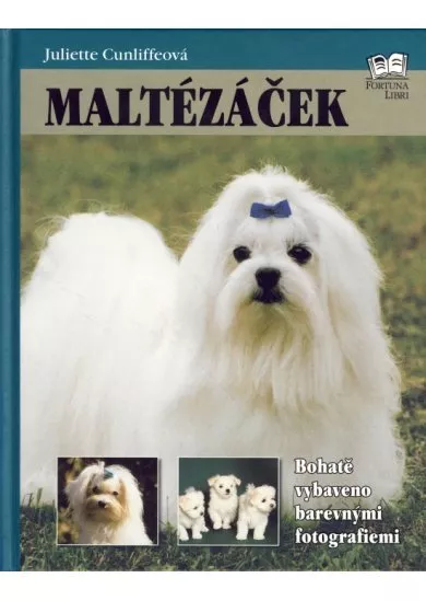 Maltézáček