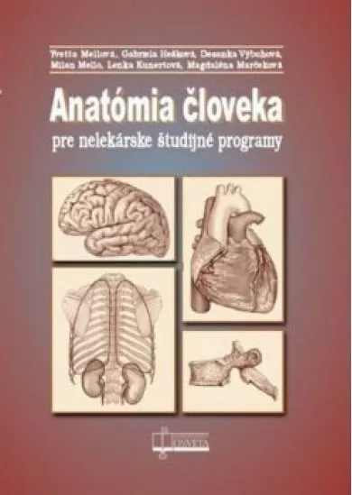 Anatómia človeka pre nelekárske študijné programy