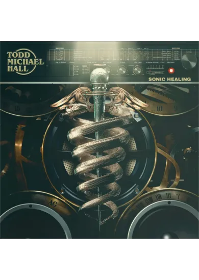 Todd Michael Hall:  Sonic Healing