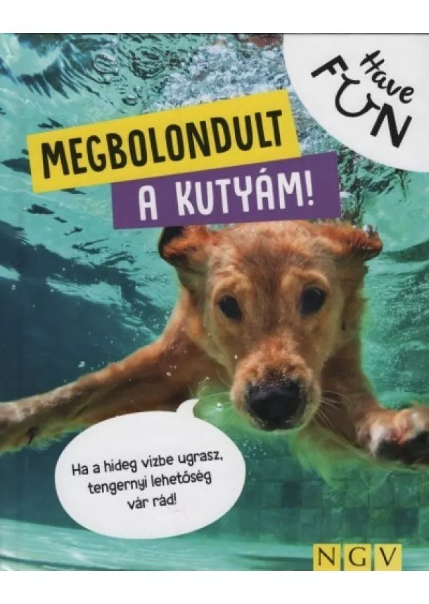 Válogatás - Megbolodult a kutyám! - Have FUN