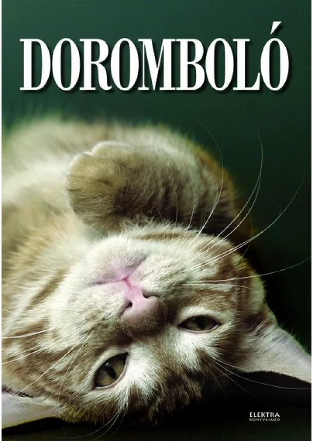 Elek Mária - Doromboló